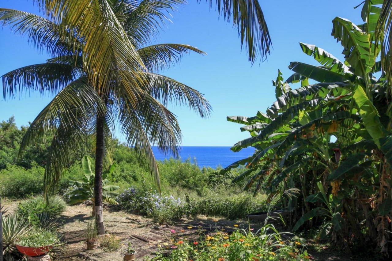 Pousada Canto Do Boldro Hotell Fernando de Noronha Eksteriør bilde