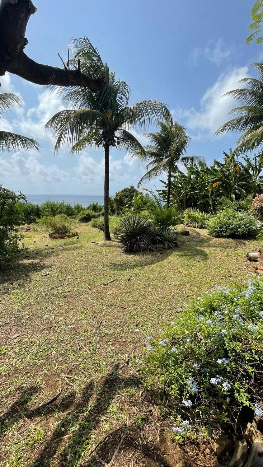 Pousada Canto Do Boldro Fernando de Noronha Eksteriør bilde